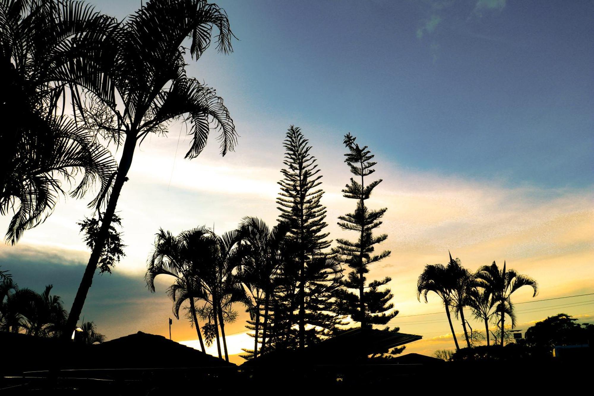 Hotel Quindio Campestre Монтенегро Екстериор снимка