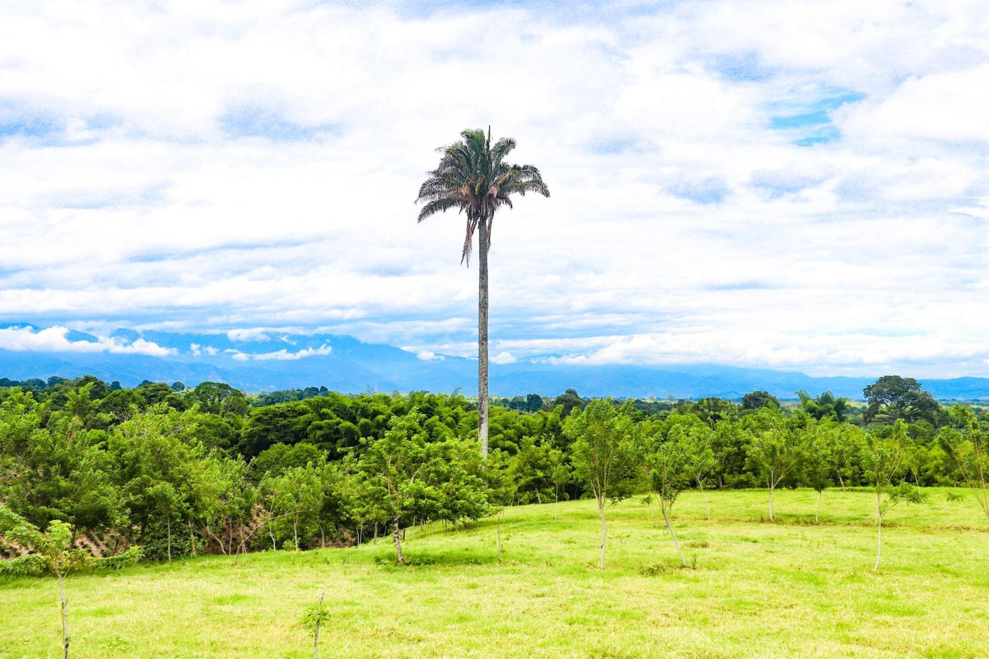 Hotel Quindio Campestre Монтенегро Екстериор снимка